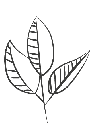 BC Association of Clinical Counsellors